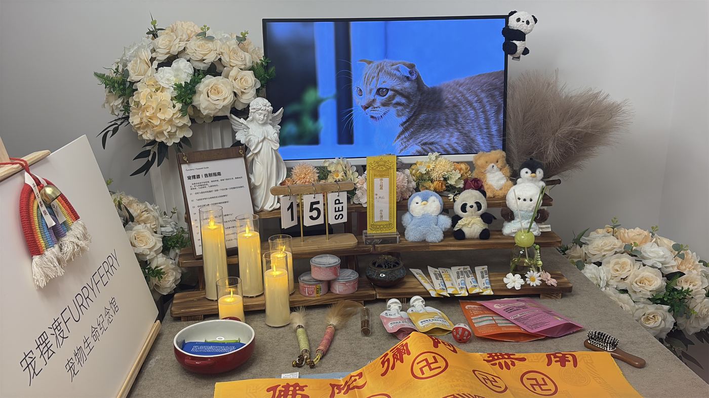 如何面对宠物离世的悲伤？写给长春养宠人的心理支持