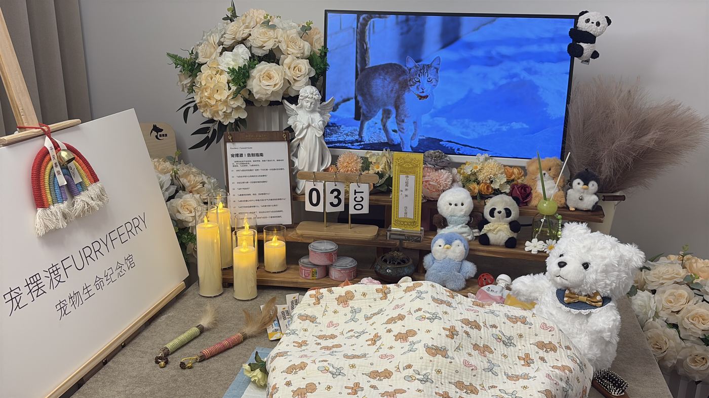 春城的告别方式：长春本地家庭如何安放宠物