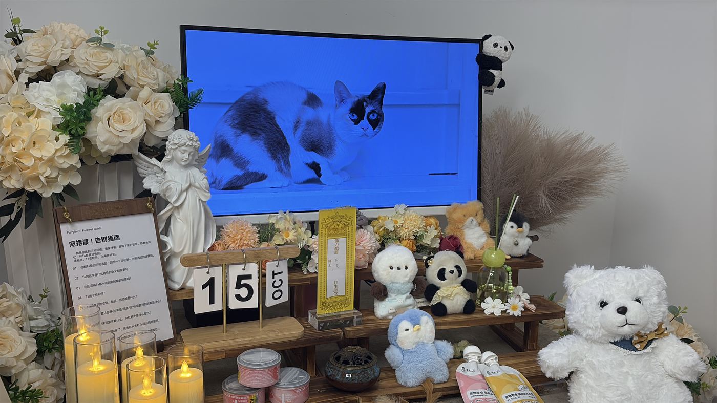 二、收费明细与预算