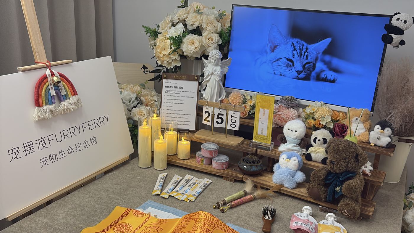 长春宠物告别厅布置：如何给春城家属一个体面的告别